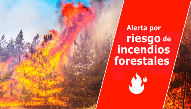 Gran Canaria verbiedt barbecues in recreatiegebieden wegens bosbrandgevaar